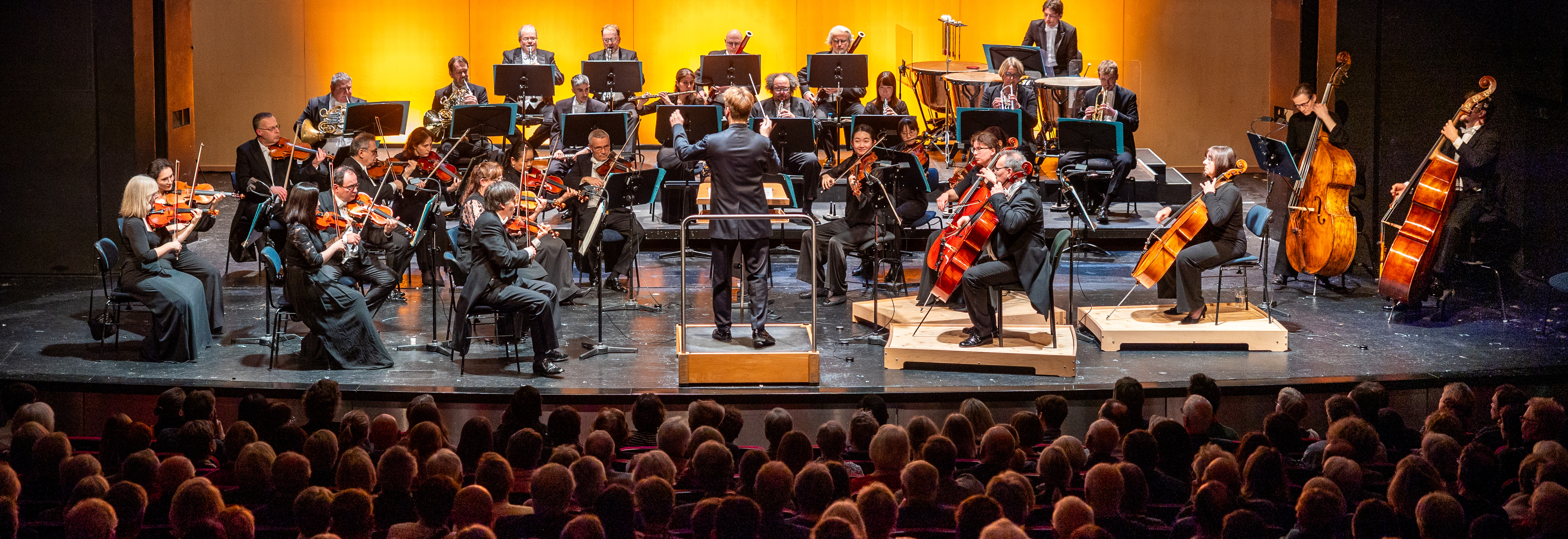 Die Lüneburger Symphoniker bei einem Konzert im Theater Lüneburg